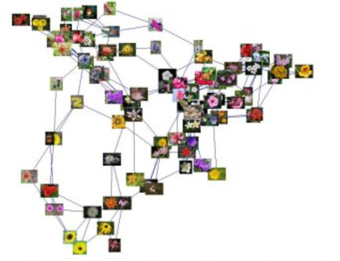 AI Image Classification